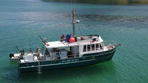 May Marie Fishing Charters – Bay of Islands