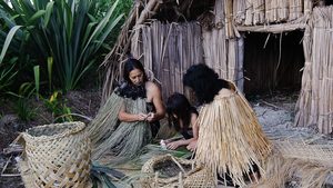 Traditional Māori Village in Wellsford