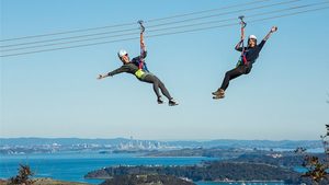 Waiheke Eco Day Tour