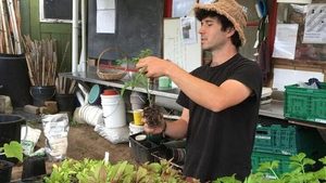 Products: Hands-on Nature Workshops in Auckland