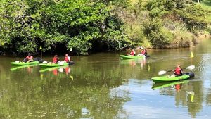 Unique Kayaking Experiences in Auckland