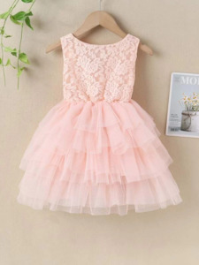 Flower Girl Dresses: Flower Girls Lace And Mesh Layered Dress