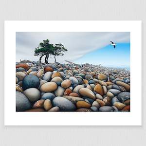 Auckland Prints: Little Barrier Boulders 150