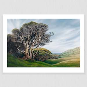 Nelson Prints: Wharariki Tree 150