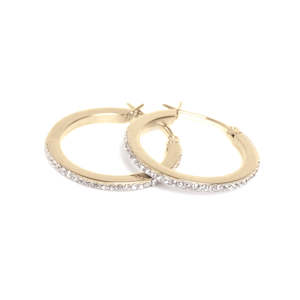 Jewellery: Earring, pure steel, medium