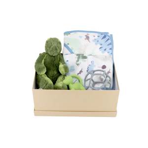 New: Dino Baby Gift box