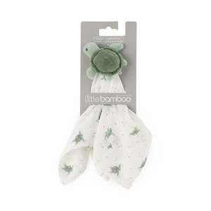 New: Lovie/Comforter - Terry the Turtle