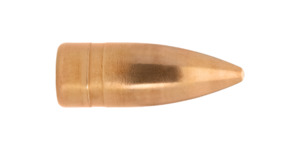 222 FMJ 55Gr S382 (100)