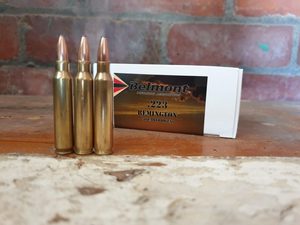223 REM 55gr SP – Subsonic (50)