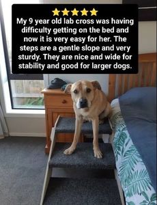 Cat Things: Pet Stairs