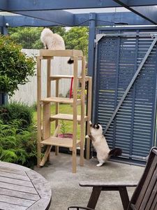 Products: Outdoor Cat Platform Playground