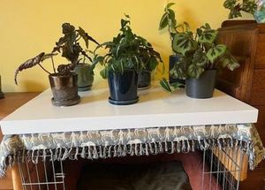 Crate Table Top Beloved Pet Furniture: Crate Table Top - Made to the size of your crate