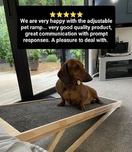 Pet Ramp & Stairs Beloved Pet Furniture: Height Adjustable Ramp