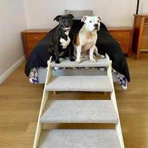 Pet Stairs