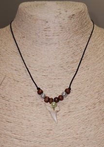 Products: Shark Tooth Pendant - Benai Farms