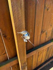Stainless bird sculptures #4