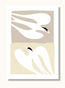 Fairy Tern: Fairy Tern Greeting Card 1
