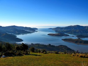 THE CALLING - LOVE KNOWING, MOVING, MANIFESTING THE DEEP - B Prior