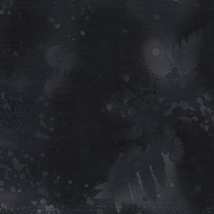 Fossil Fern: Fossil Fern - Carbon