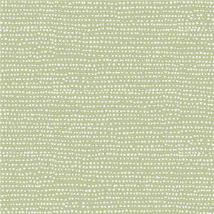 Dear Stella - Moonscape - Reed