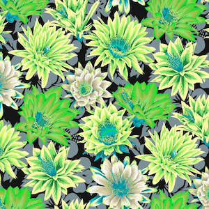 Free Spirit -Kaffe Fassett - Cactus Flower Contrast