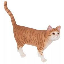 Science: Schleich Cat