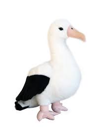 Aurora: Albatross with Sound 25cm