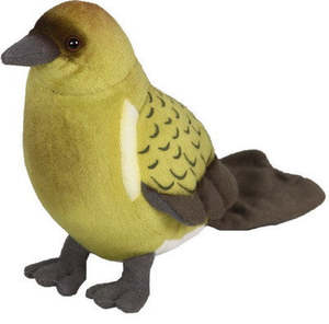 Aurora: Bellbird with Sound