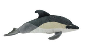Aurora: Antics Dolphin common  with Sound