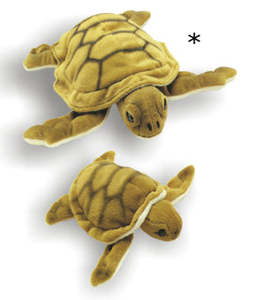 Antics Wild Sea Turtle Large