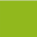 LIME 600ml