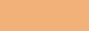 400ml Nbq Fast: F161 CAMEL BROWN 400 ML
