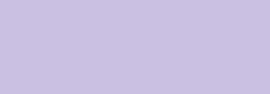 400ml Nbq H20: H2011 SEESTADT PURPLE  400ML