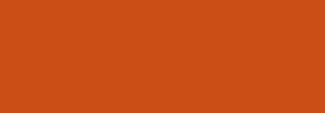 400ml Nbq H20: H2029 FERN ROCK ORANGE 400ML
