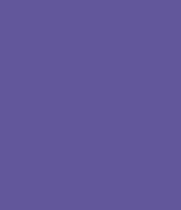 Montana Black 600ml: Montana Black 4155 Royal Purple 600ml