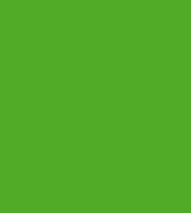 Montana Black 150ml: Montana Black 6045 Irish Green 150ml