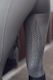 Eskadron Reflexx Riding Tights