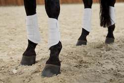 Horse Boots: Platinum Pure Softshell Tendon Boots