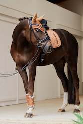 Saddle Cloths: Saddle cloth Highgloss Peacock Platinum 23