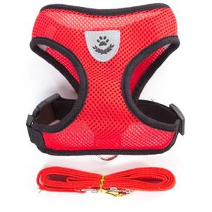 Pets Are Going Crazy: Cat Harness and Leash 7 Colours!
