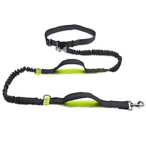 Pet Collars Leashes Harnesses: Handsfree Running Bungee Dog Leash