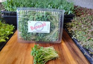 Broccoli Shoots, 70grams
