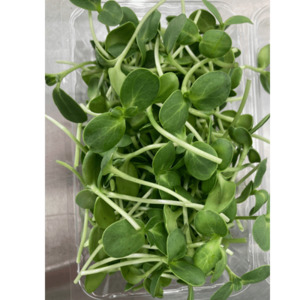 Sunflower Shoots, 70grams