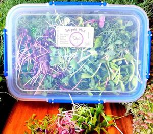 Super Mix Subscription Option, 200grams