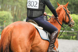 'ALYSSA' BLUE BREECH