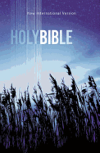 NIV Value Outreach Bible