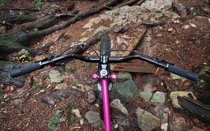 Soma Handlebar Dream Riser