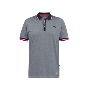 Products: D555 - Stripe Jersey Polo With Rib Collar Grey - D555 - Affordable European Fashion for Big Men - Sizing up to 7XL - D555