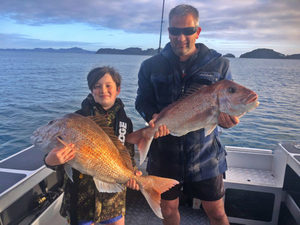 Products: Family Fish and Play - Big Fish Bay of Islands
