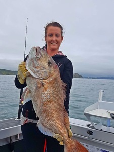 Products: Half Day Snapper Charter - Big Fish Bay of Islands